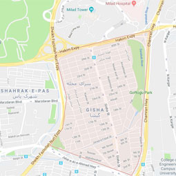 باربری گیشا